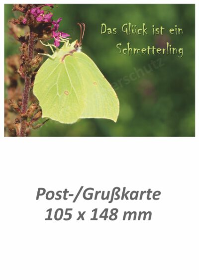 Das Glück ist ein Schmetterling - Postkarte